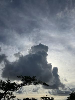 空