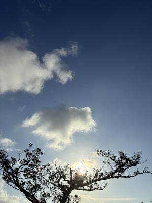 空