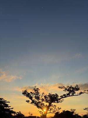 空
