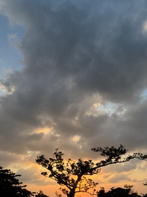 空