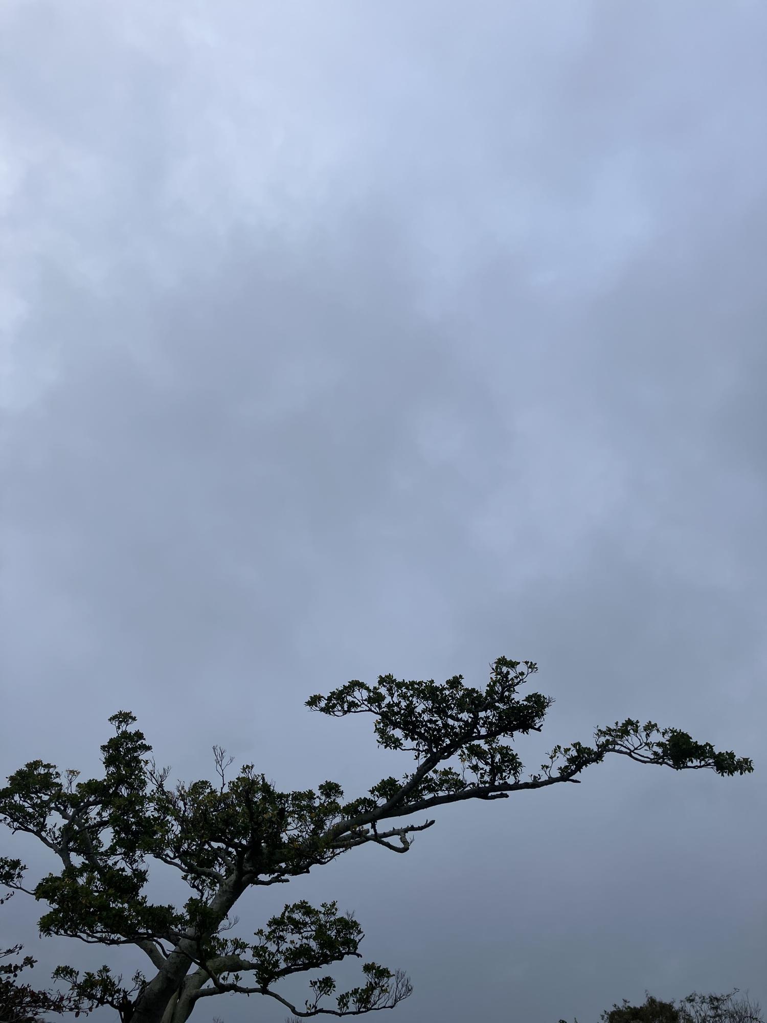 イェスタディの１７時１２分