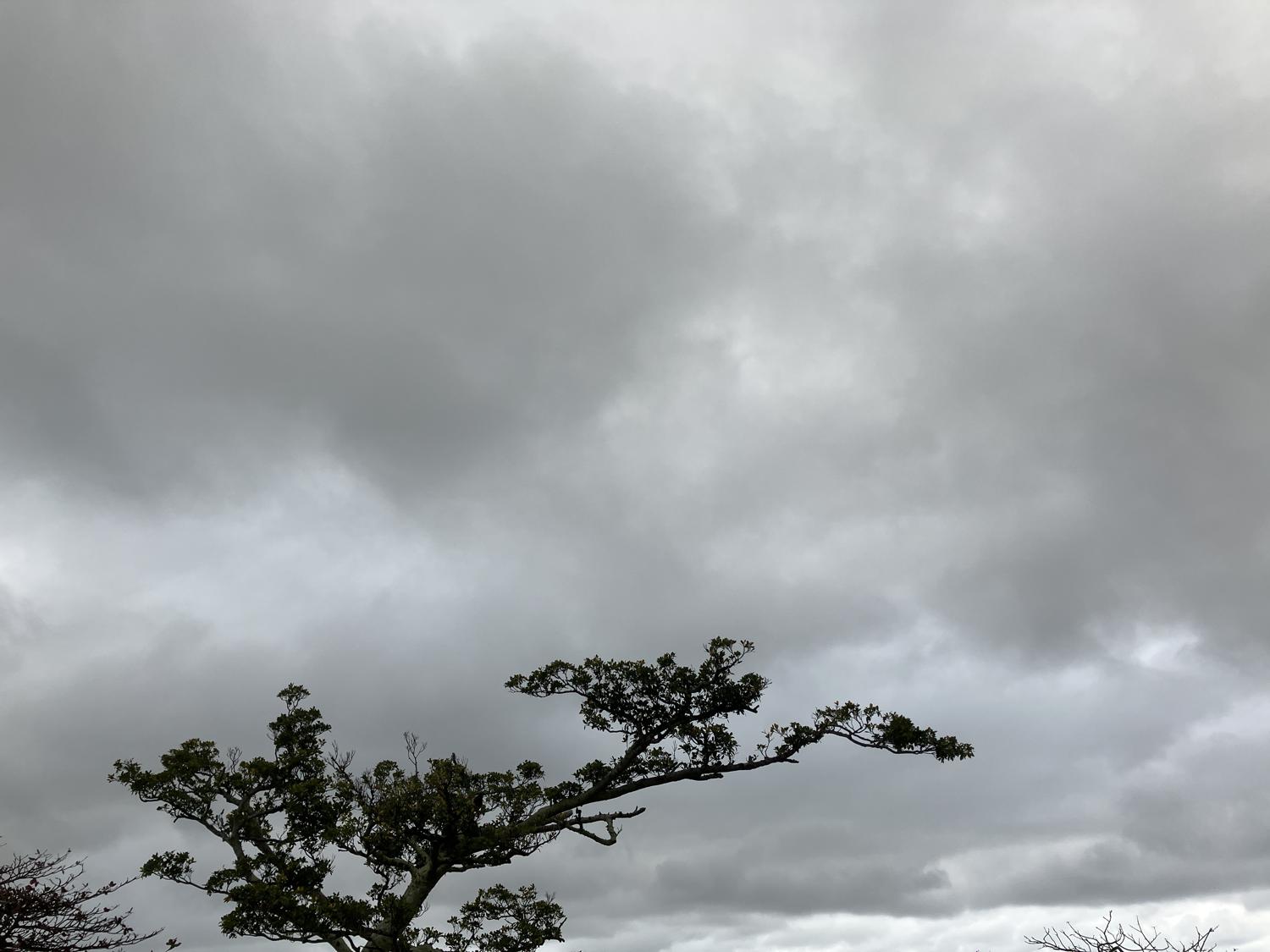 イェスタディの１７時３３分